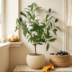 Artificial Plant